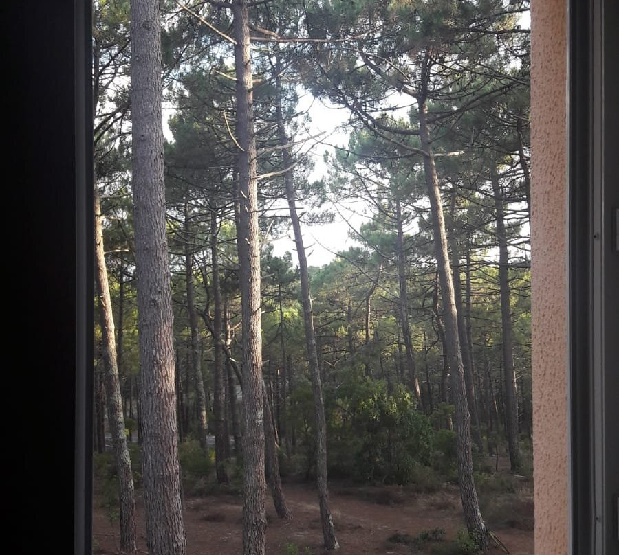 Résidence Pierre & Vacances Les Grands Pins主图