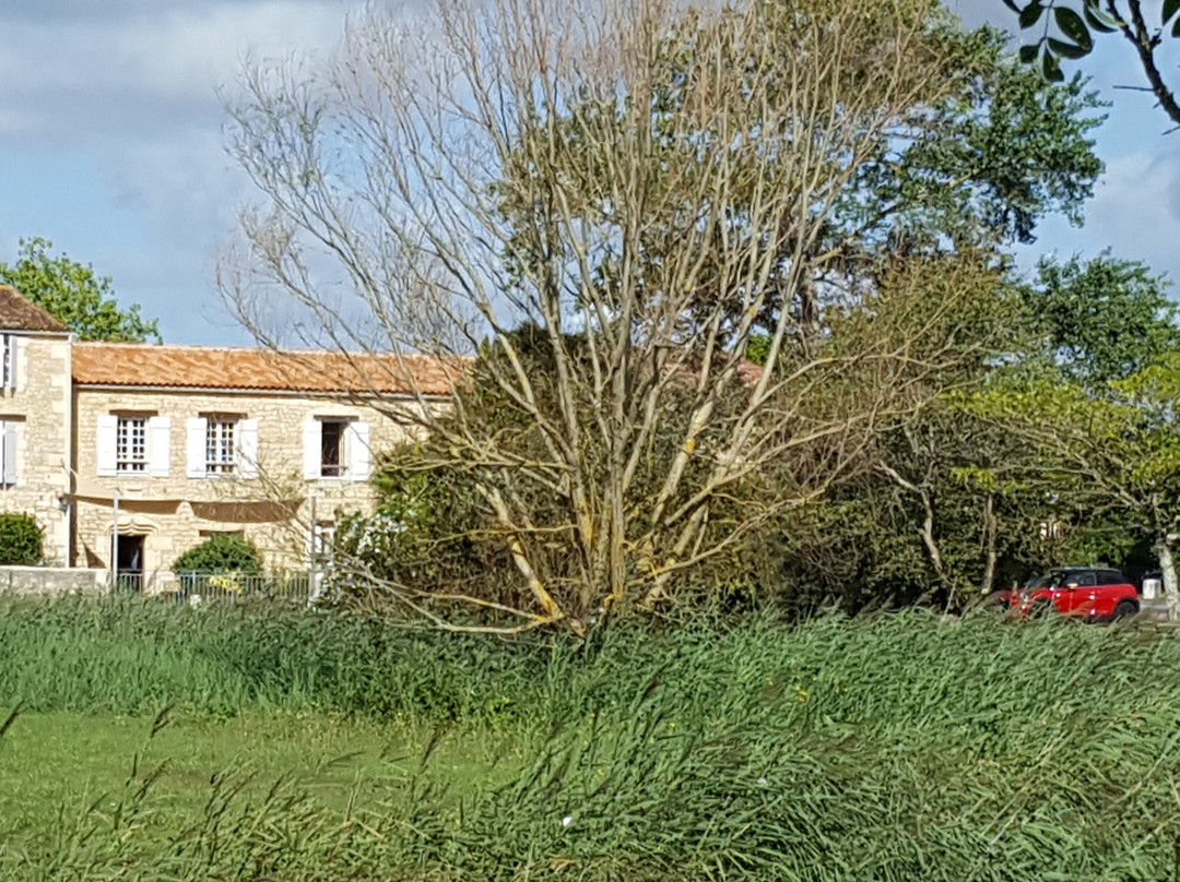 Le Moulin de Chalons主图