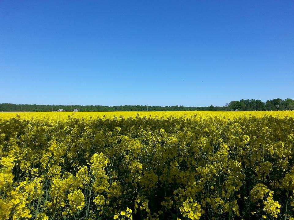 Gamtos Girnos-Sakiai必去景点