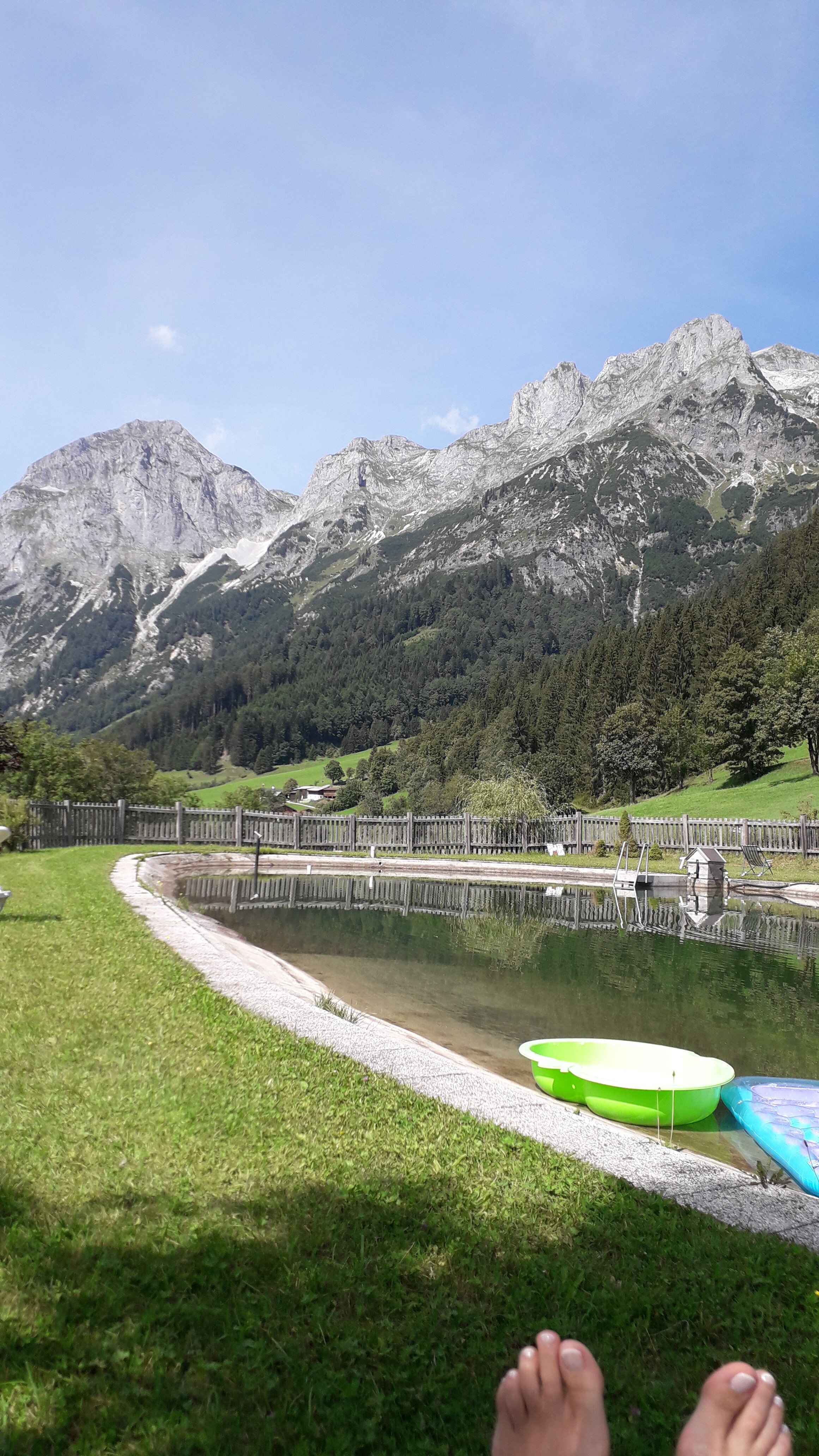 Berghof-Pension Wildau-泳池