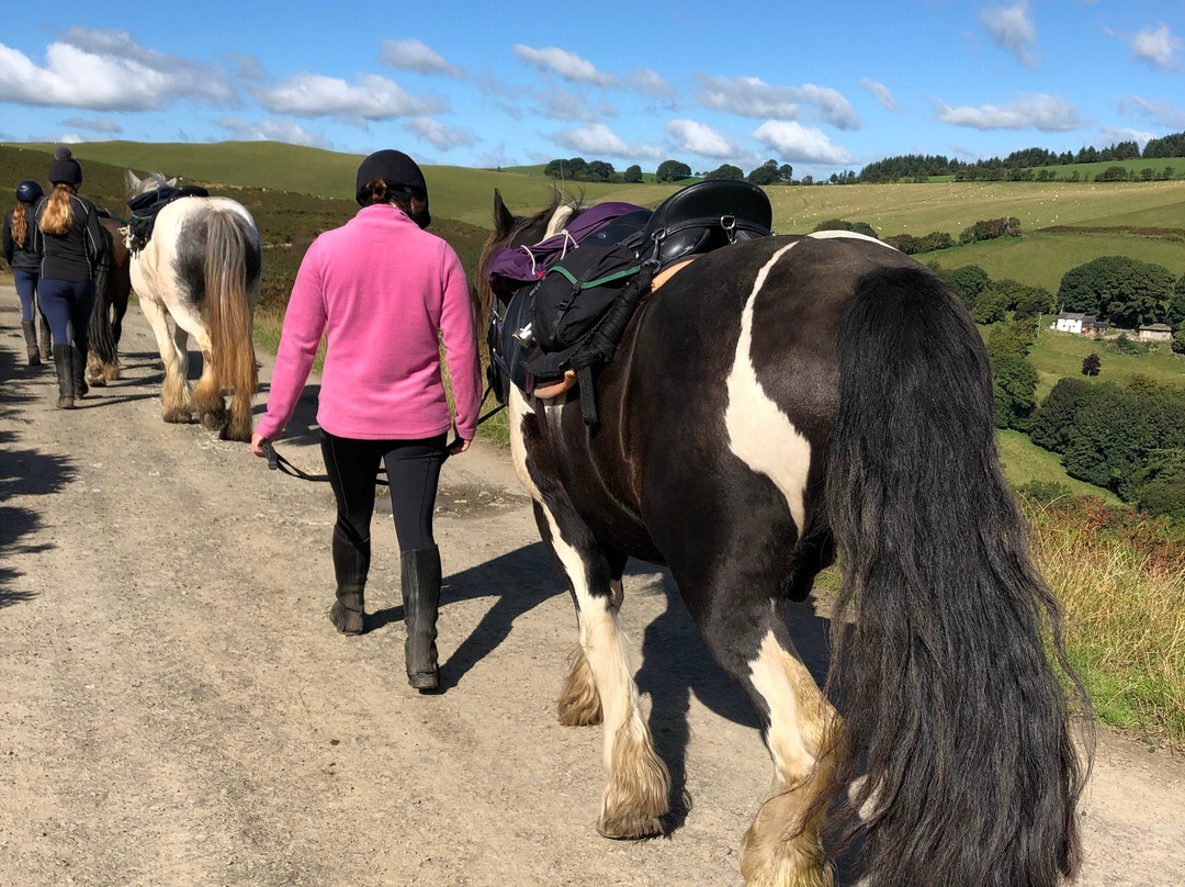 Freerein Riding Holidays-Clyro必去景点