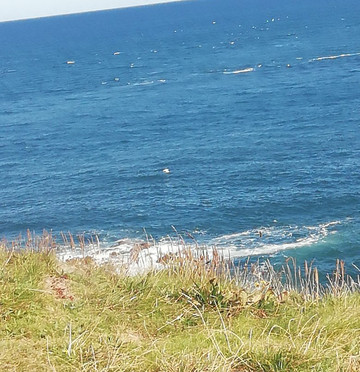 Eyemouth Fort-Eyemouth必去景点
