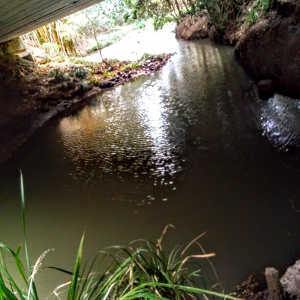 The Peterson Creek Walking Track-Yungaburra必去景点