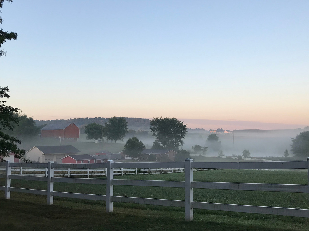 The Inn at Amish Door主图