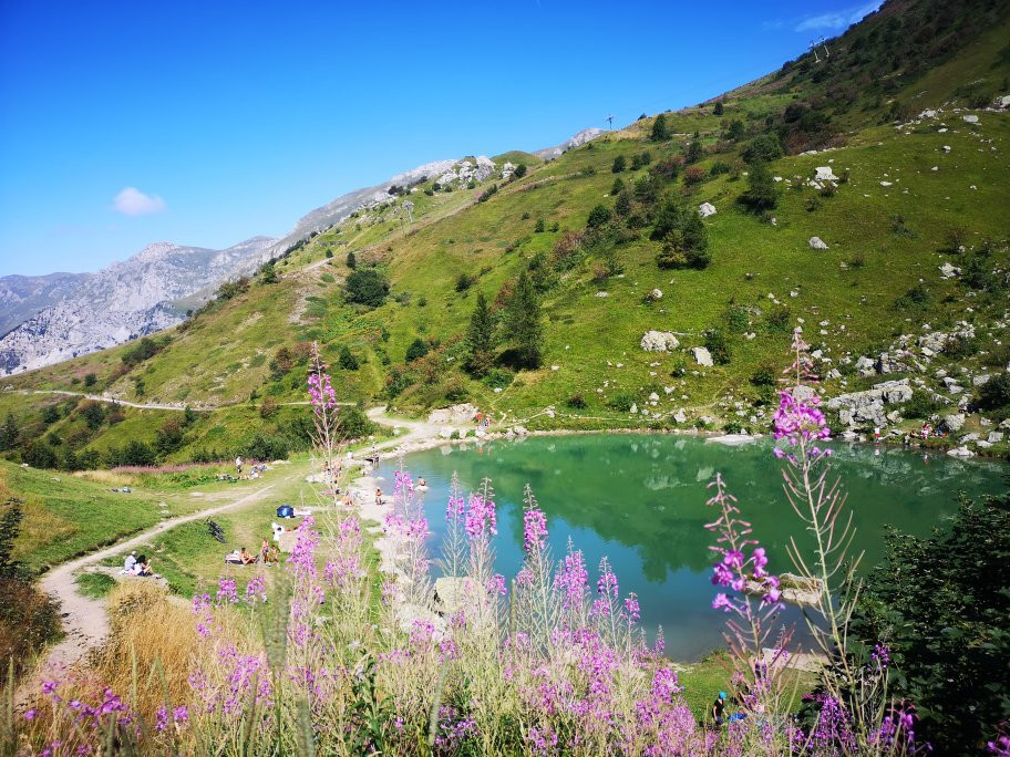 Lago Terrasole景点图片