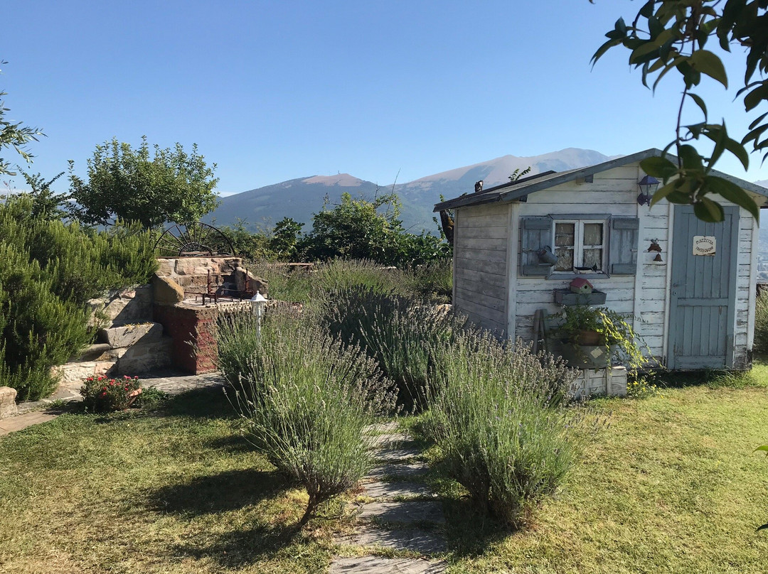 B&b Fonte Cugno主图