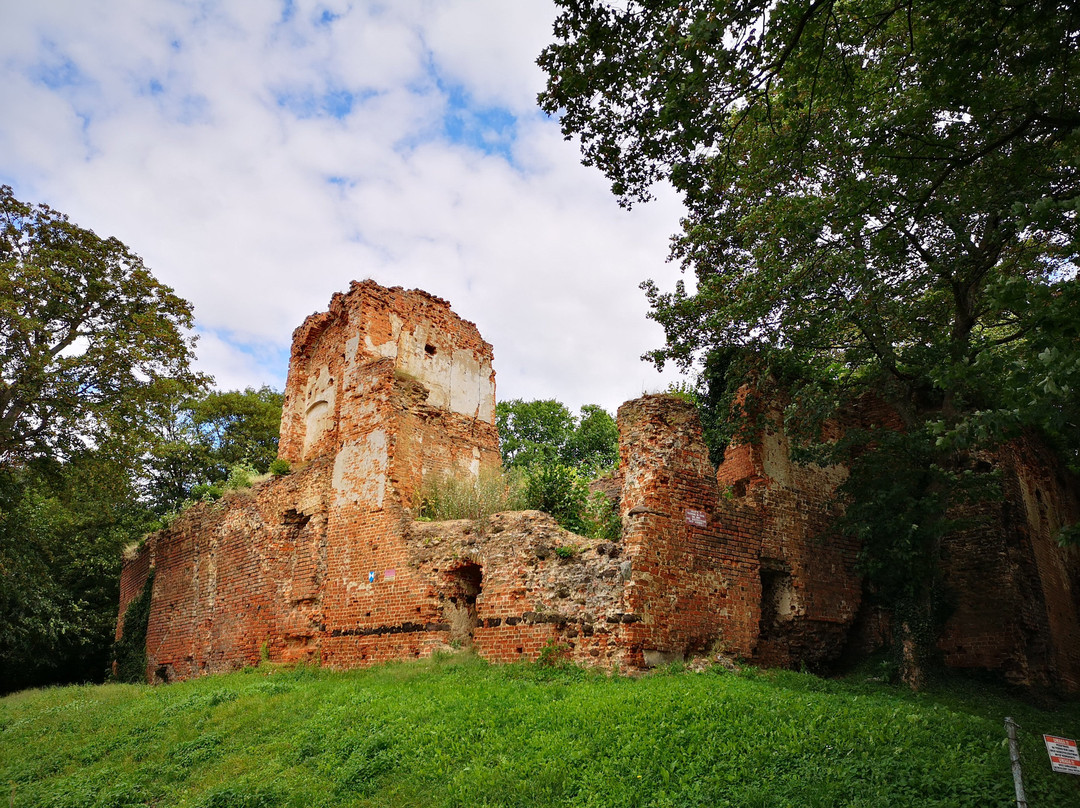 Castle in Milicz景点图片