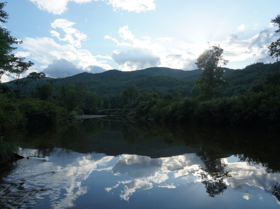 The Halfway House Motel主图