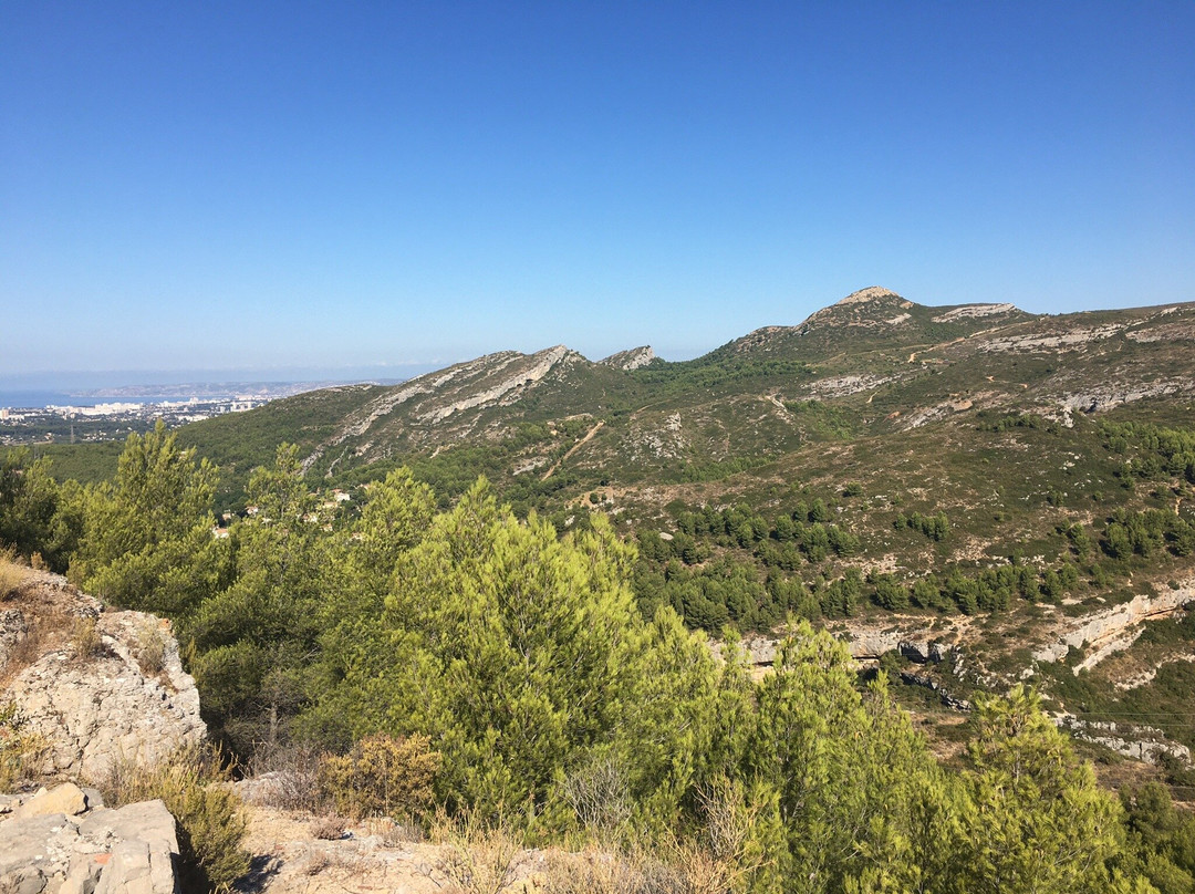 Domaine de la Font de Mai景点图片