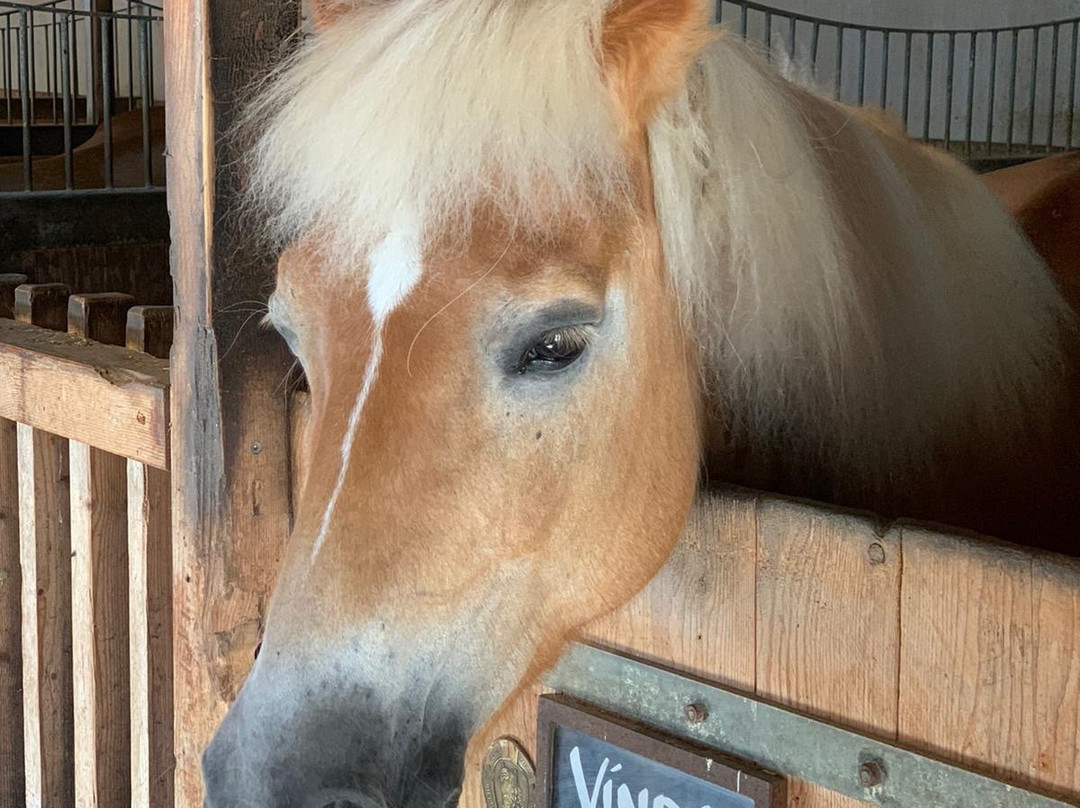 Familienparadies Sporthotel Achensee主图