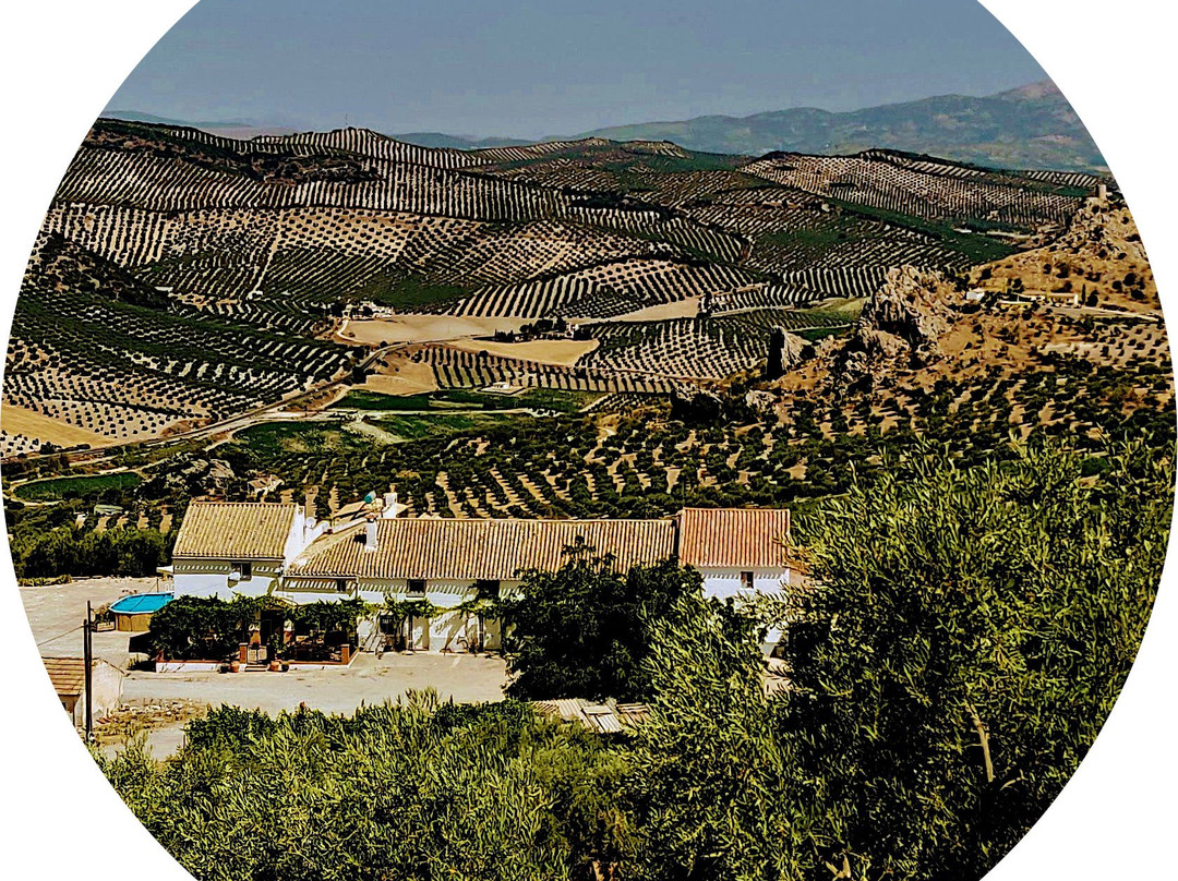 New Leaf Cortijo