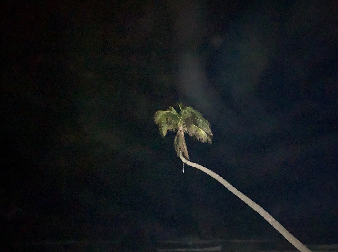 Mishol Weddings & Events Hotel & Beach Club主图