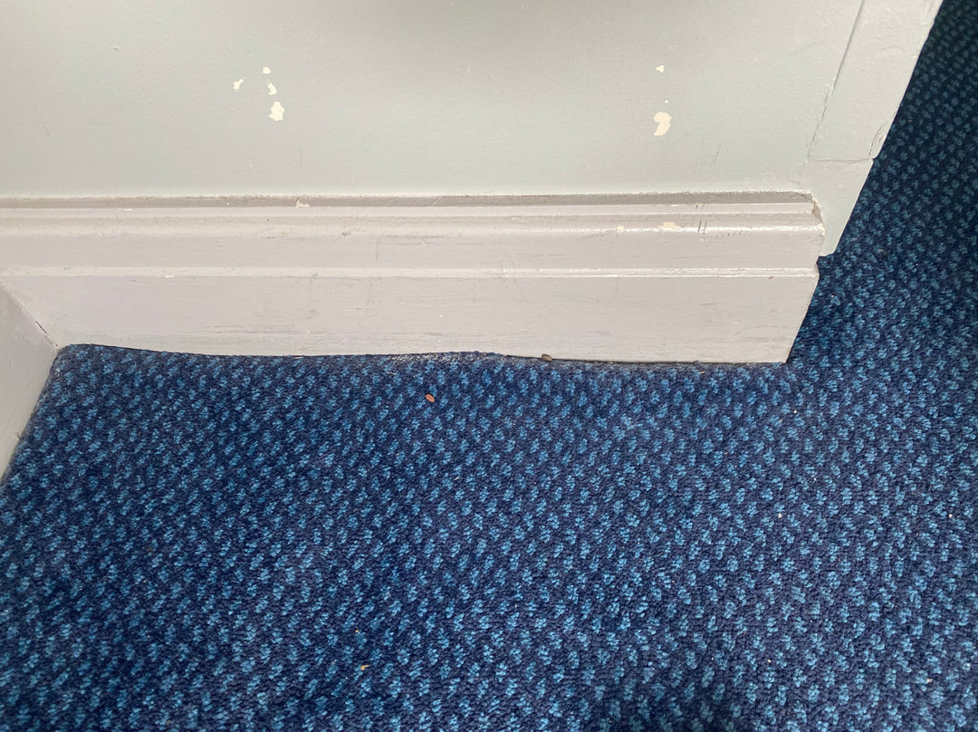 Travelodge Bodmin Roche Hotel主图