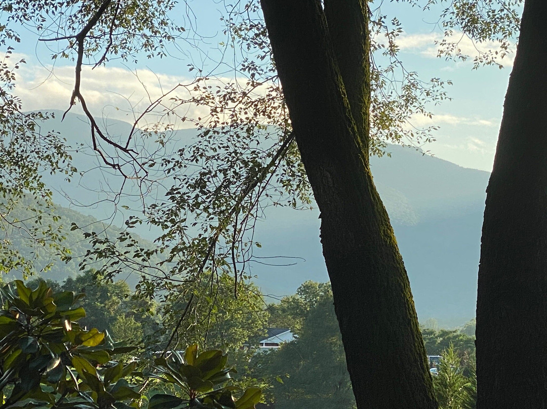 Wildmandan Beer Centric B&b W Brewery Onsite主图