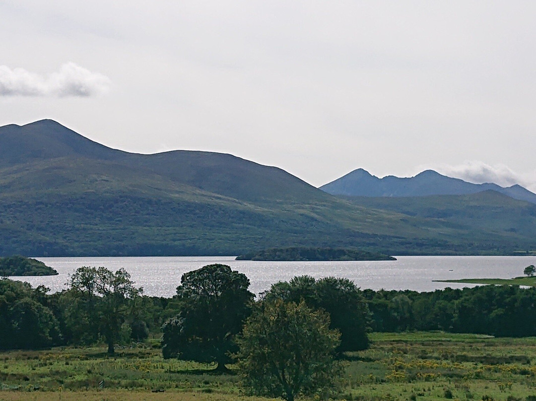 Killarney House Gardens景点图片