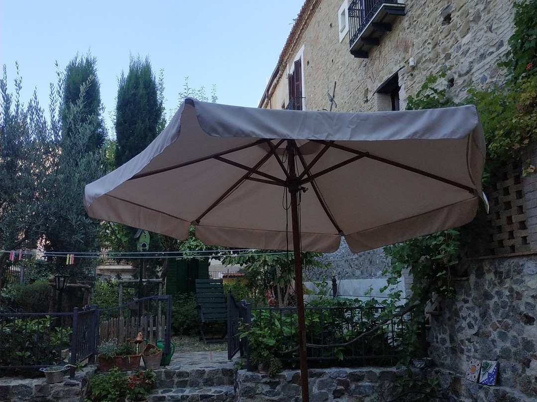 La Gatta sul Tetto主图