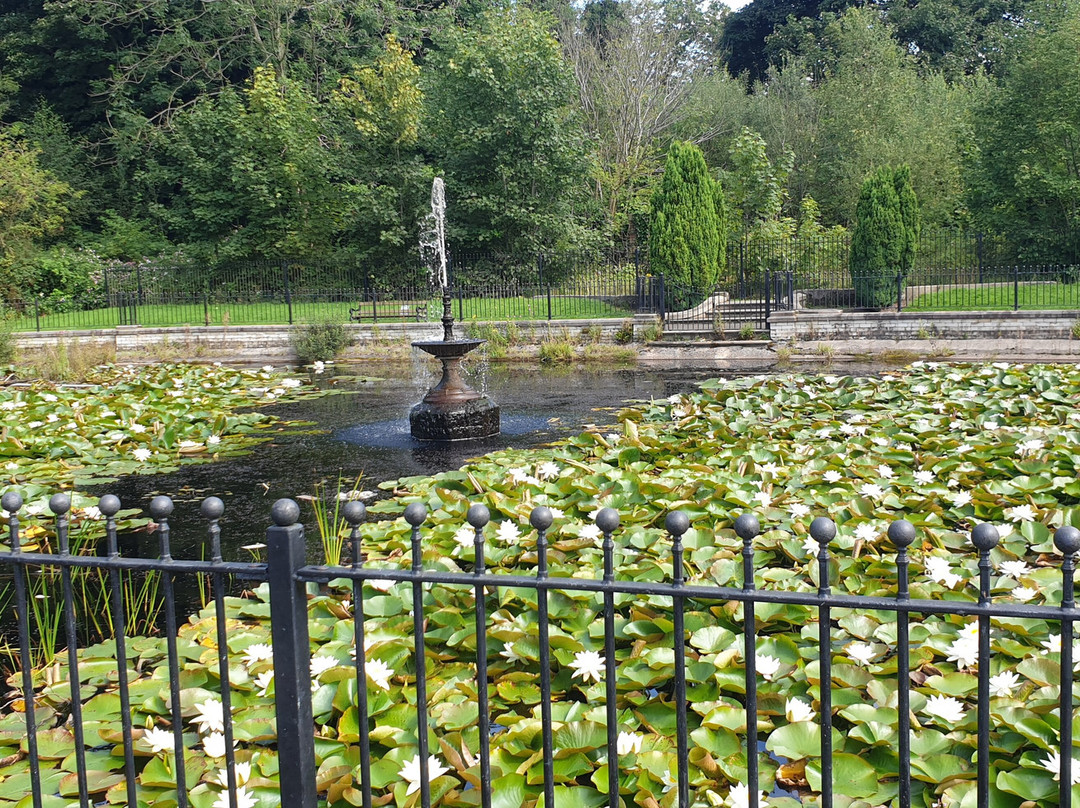 Haigh Woodland Park景点图片