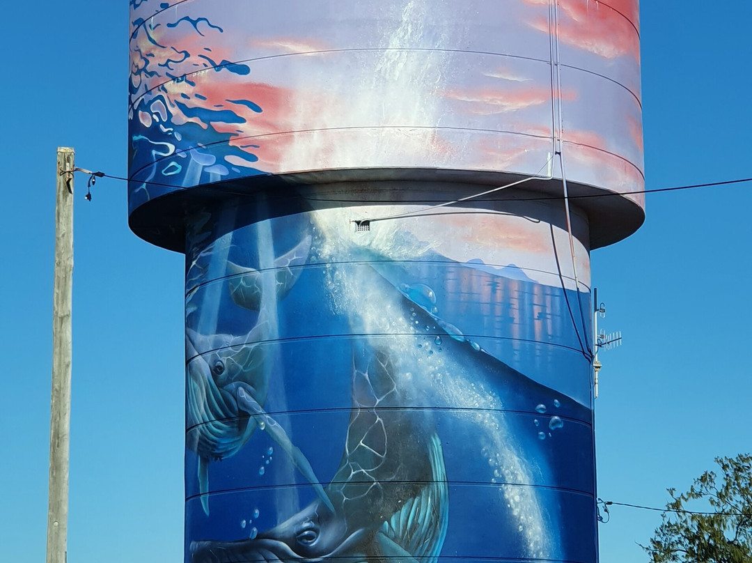 Slade Point Water Tower景点图片