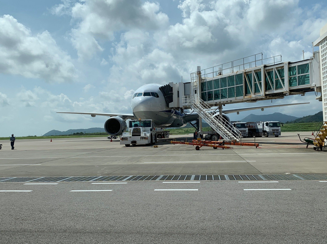 Painushima Ishigaki Airport Observation Deck景点图片