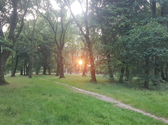 Blackbury Camp-Southleigh必去景点