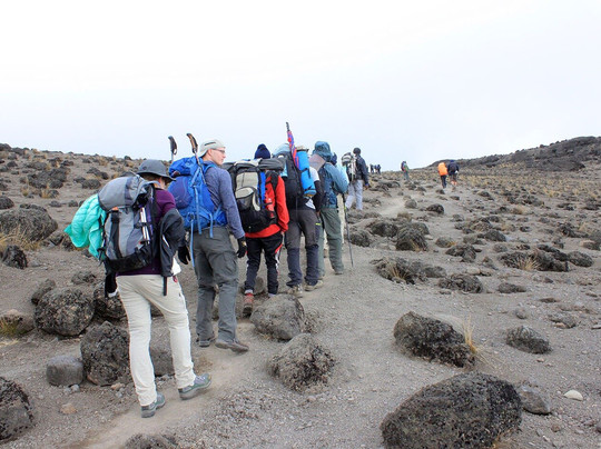 Pinnacle Adventures and Safaris-莫西必去景点