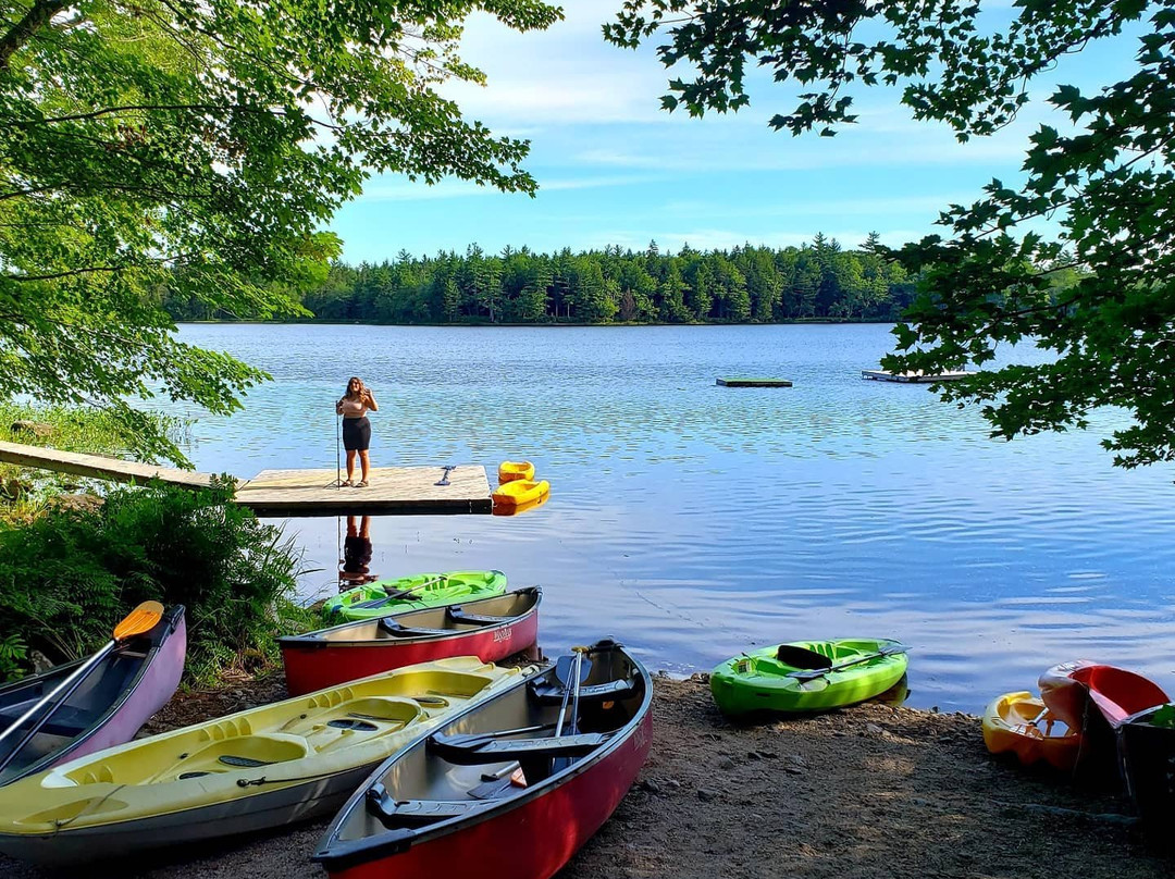 Mersey River Chalets and Nature Retreat主图