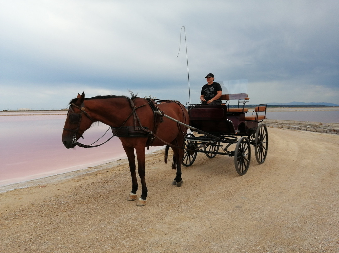 Salin de la Palme-La Palme必去景点