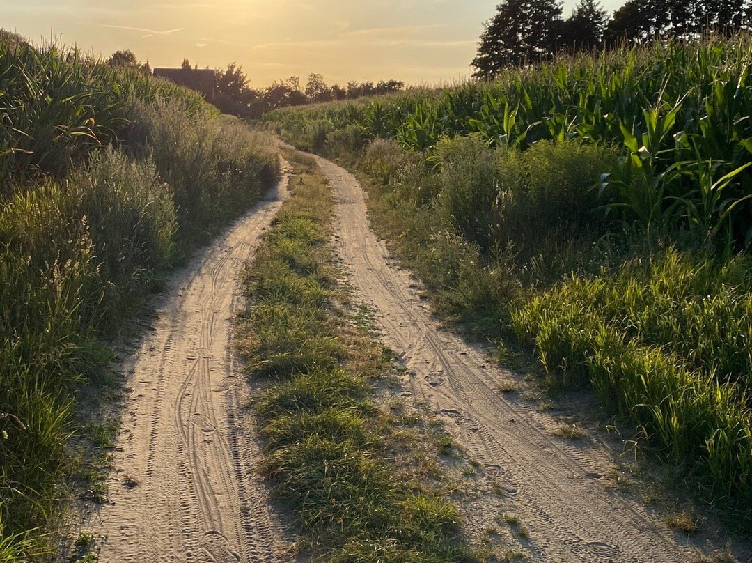 Hotel Maerkischer Hof主图