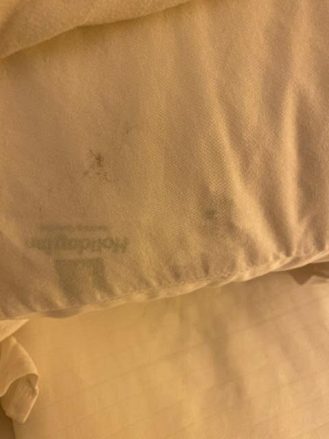 Days Inn & Suites by Wyndham Monroe主图