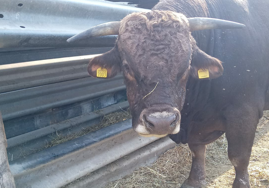 Agriturismo Baratz主图