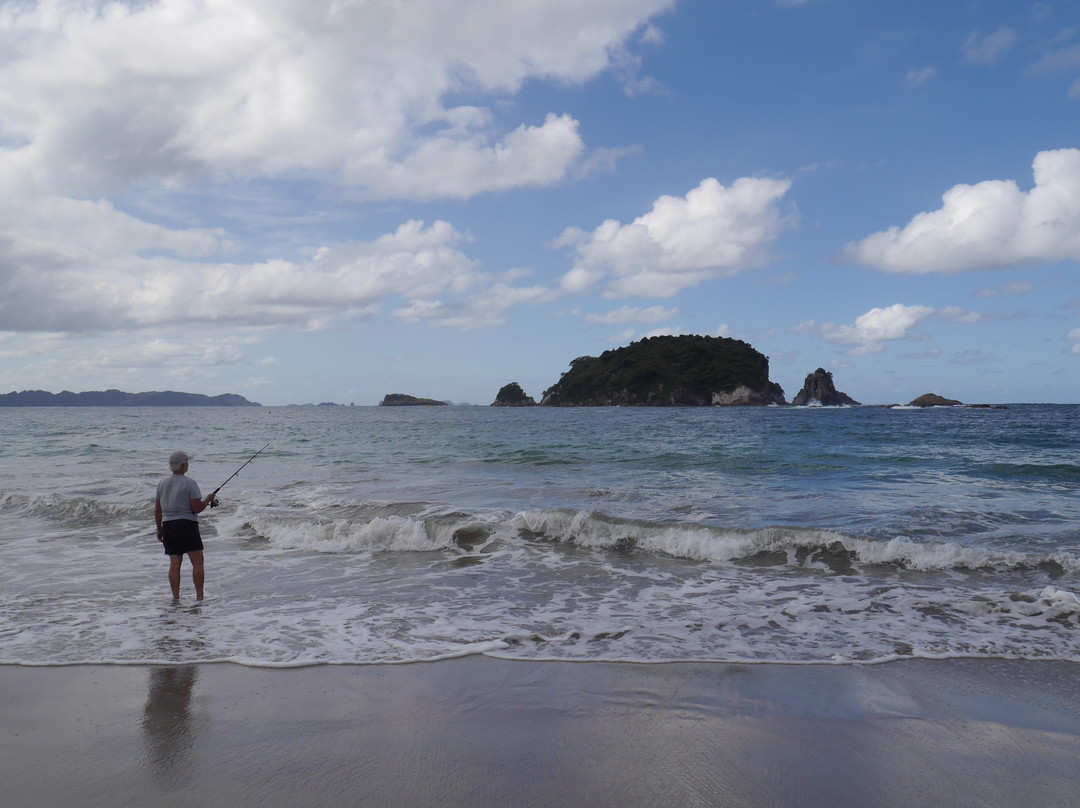 Hahei Beach Walk-哈海必去景点