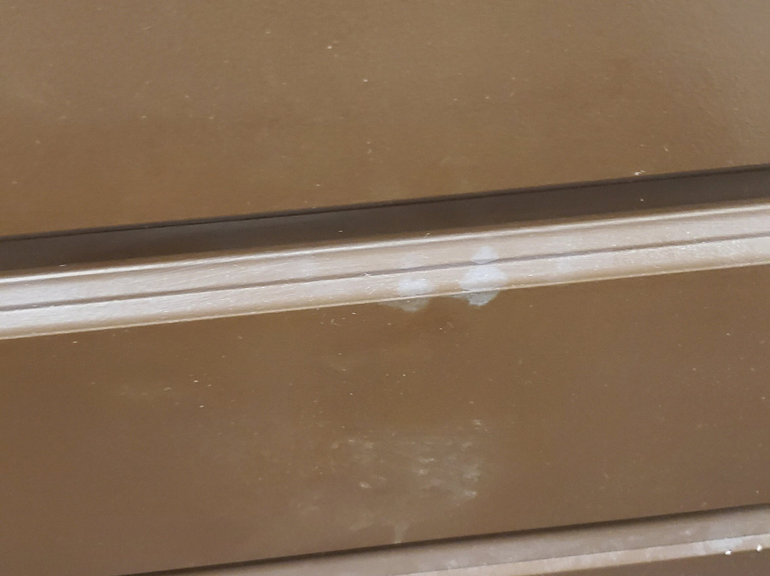 Best Western Pacific Inn主图