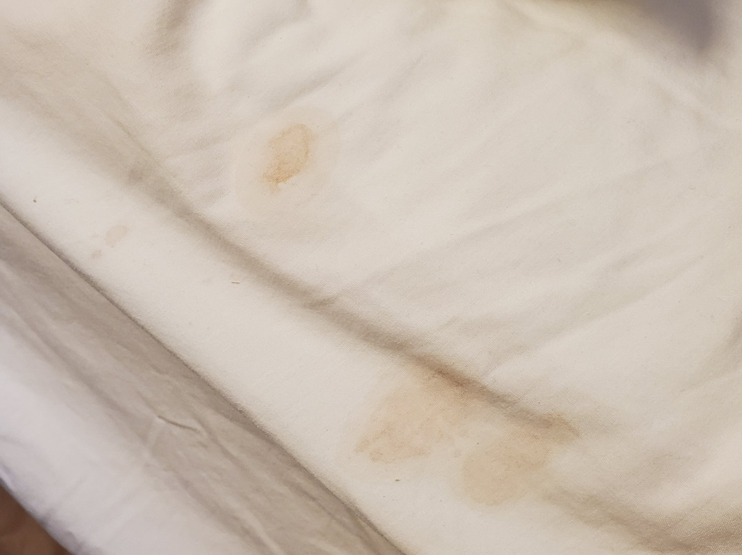 Western Star Inn & Suites主图