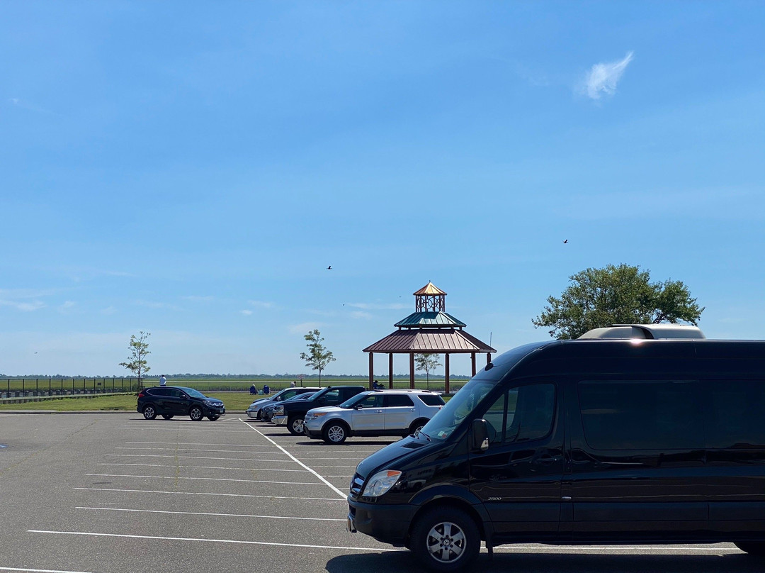 Freeport Kayak Rentals-自由港必去景点