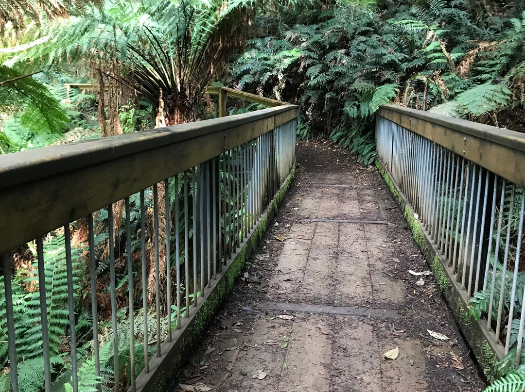 Melba Gully National Park景点图片