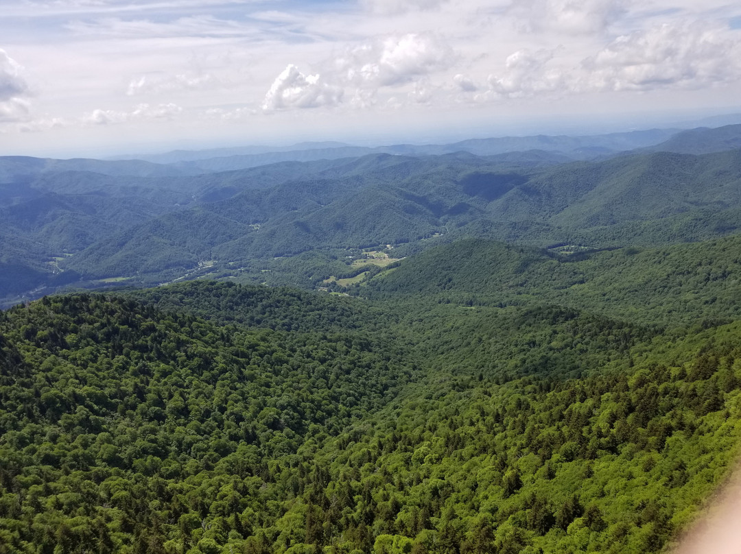Roan Mountain State Park景点图片