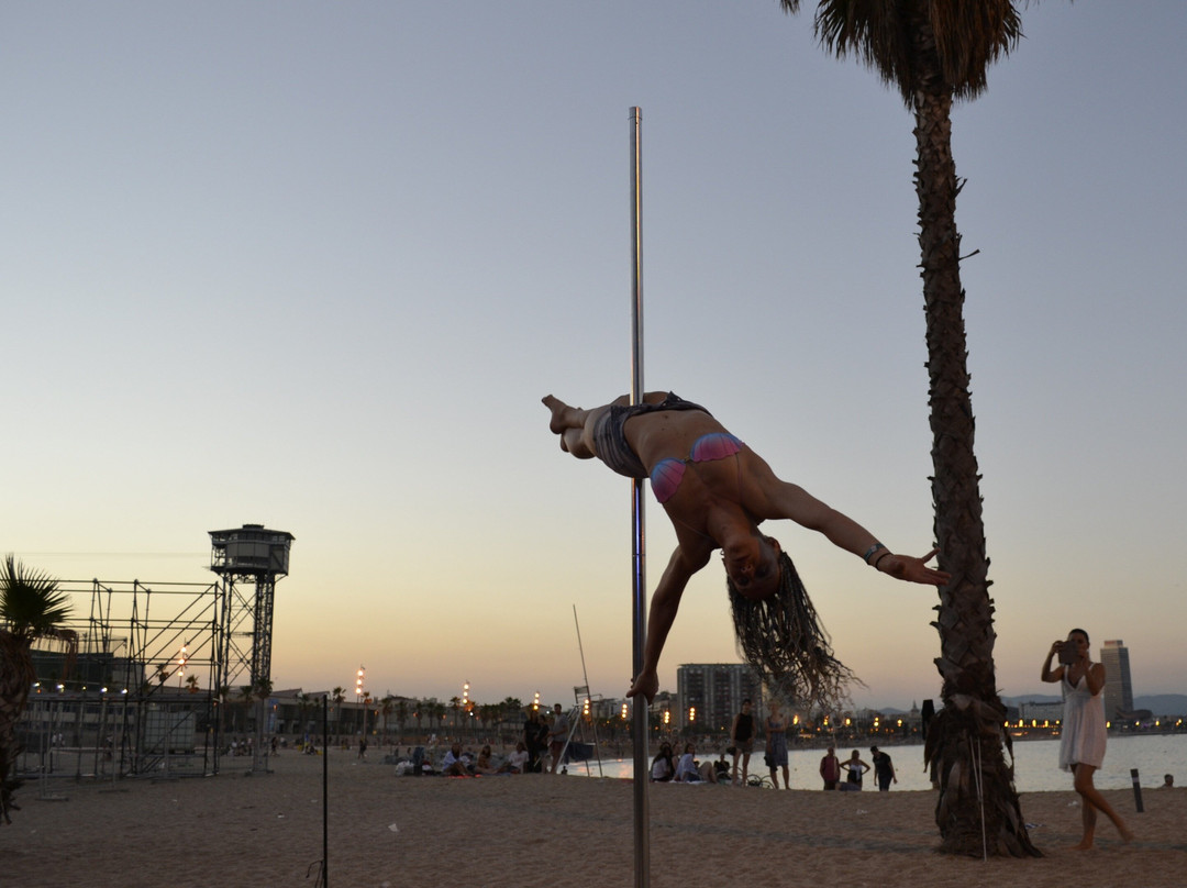 Barcelona Yoga & Pole Camp