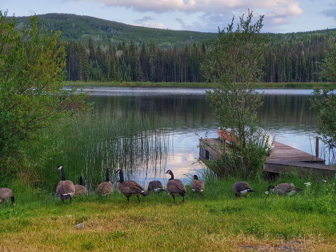 鲁真湖度假酒店&自然中心主图