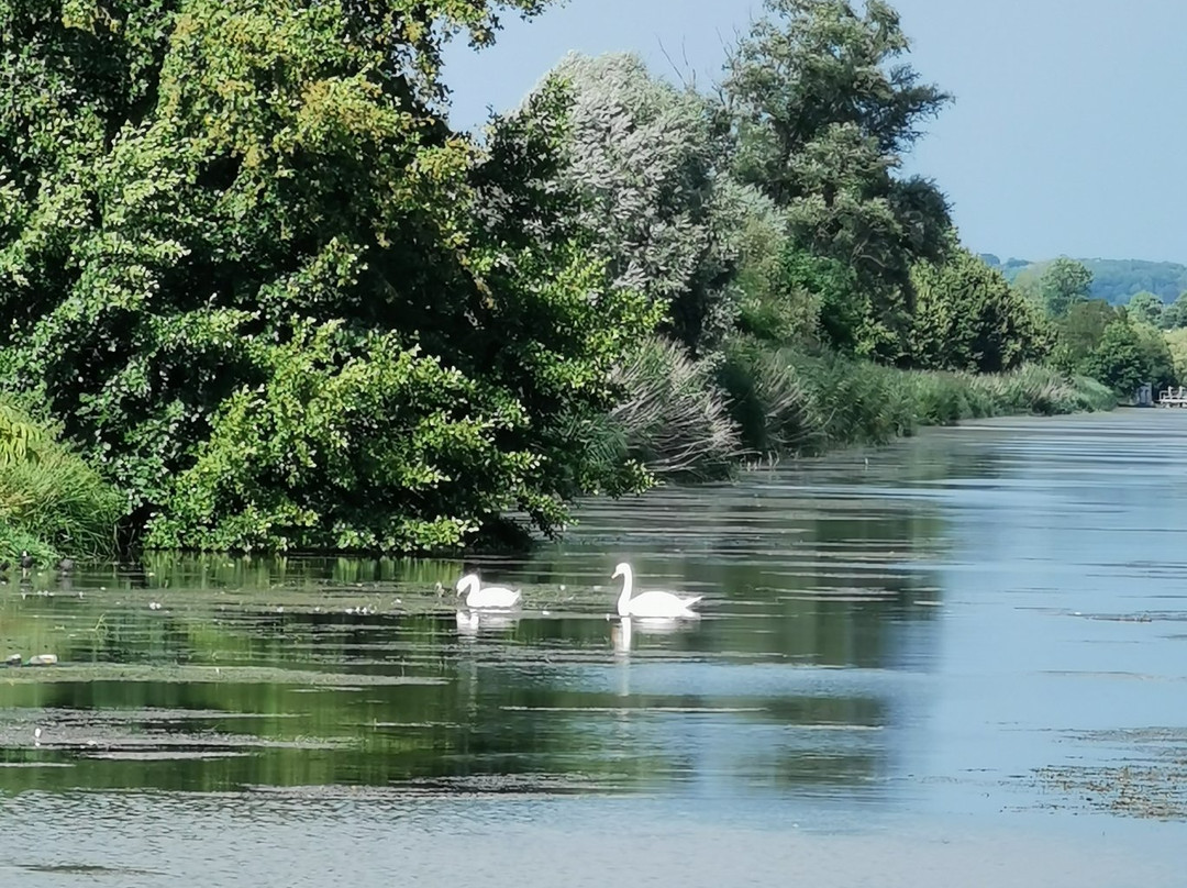 Carspach旅游攻略图片