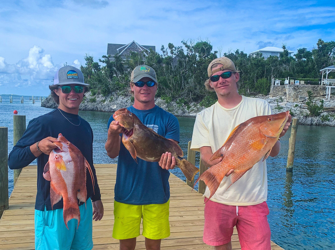 Benthic Adventures-Green Turtle Cay必去景点