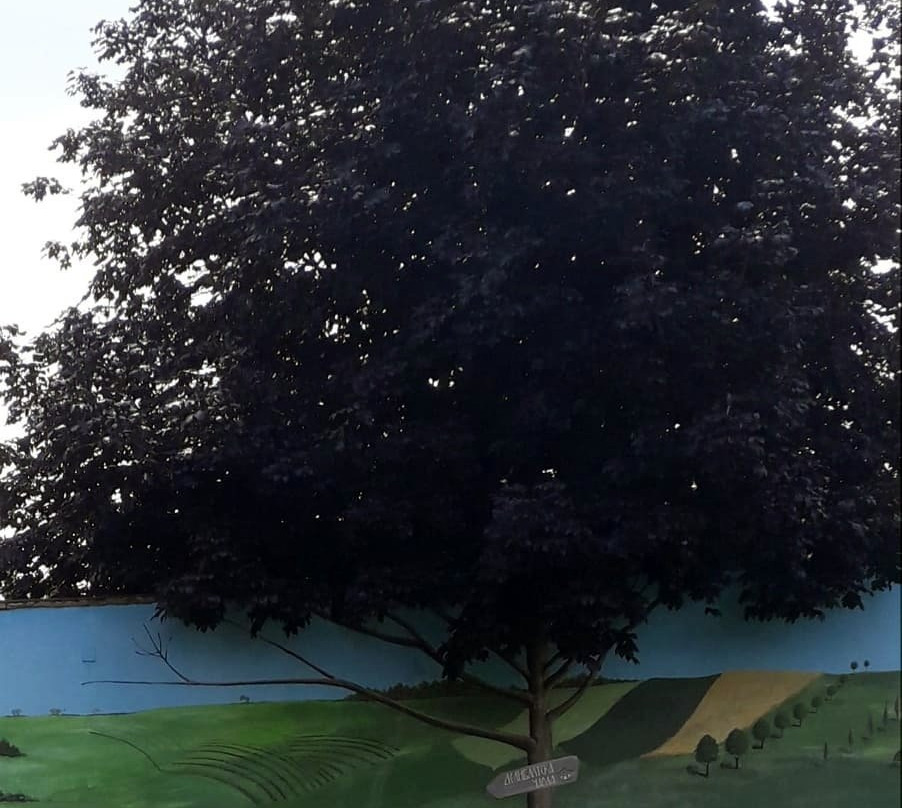 Deliblatska Carda主图