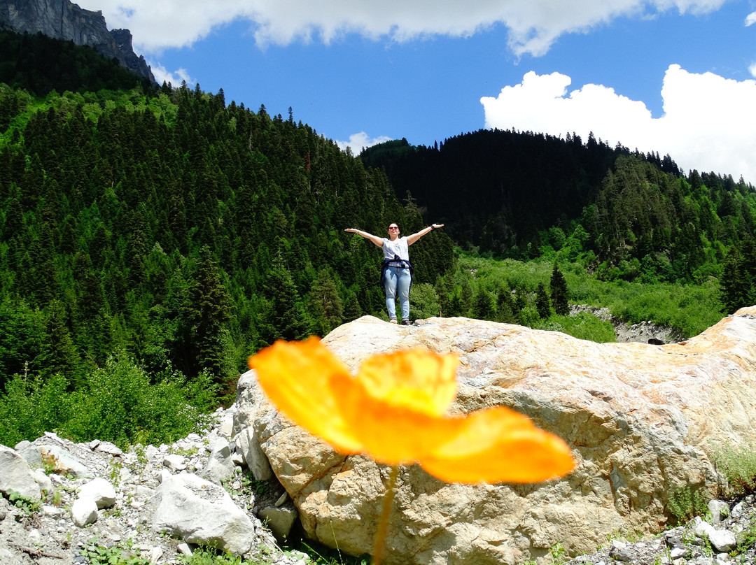 Mountain Ushba景点图片