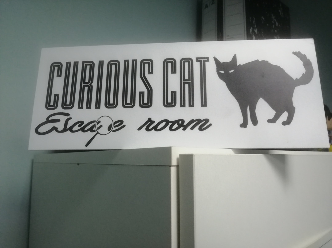 Curious Cat Escape Room景点图片