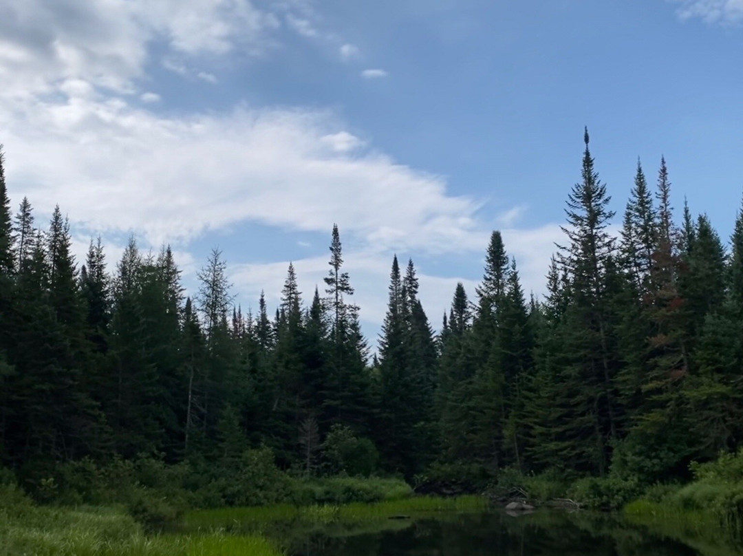 Barron Brook Inn主图