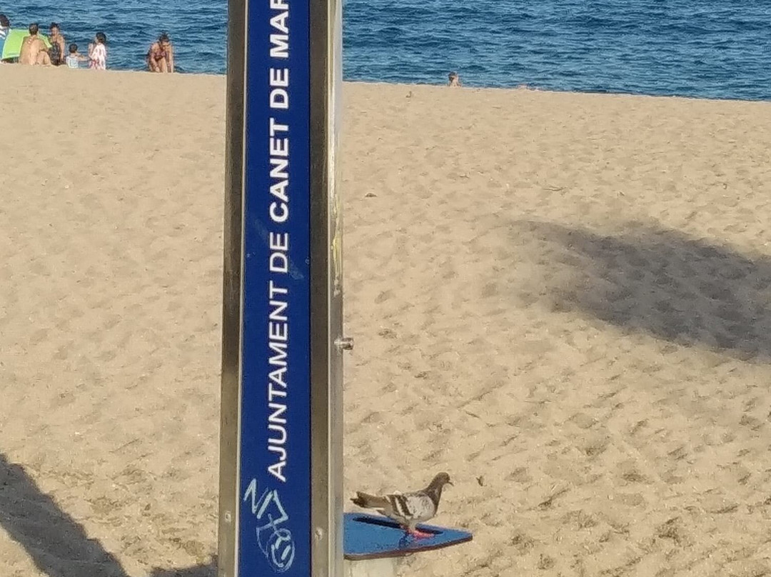 Playa de Canet de Mar-Canet de Mar必去景点