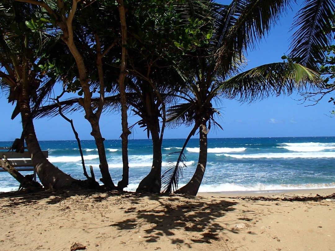 Surfer's Beach-Aguadilla必去景点