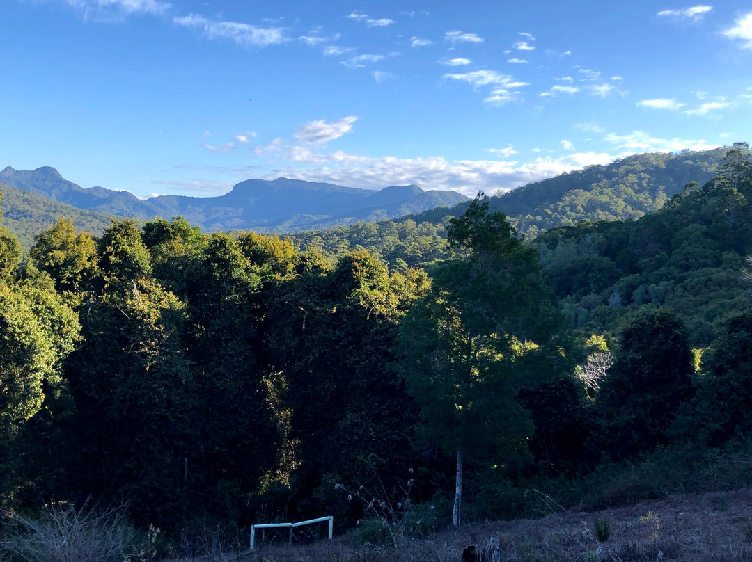 Ingleside Stud Farm主图