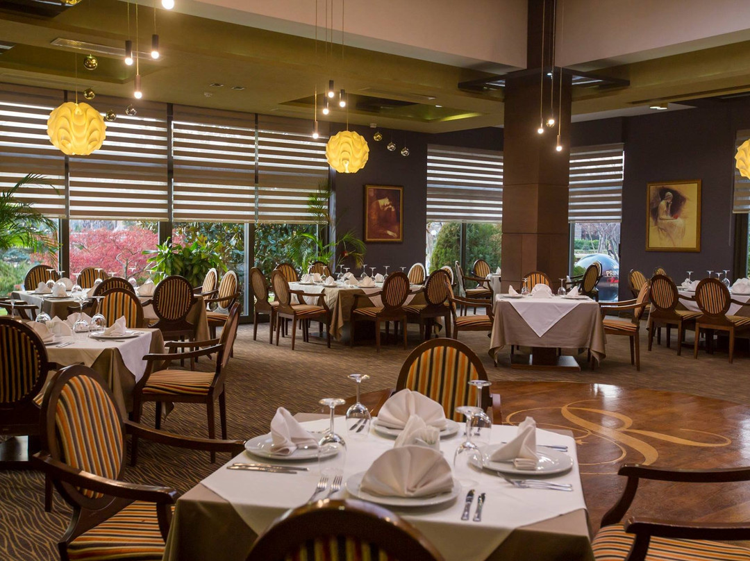 Park Hotel Romantica主图