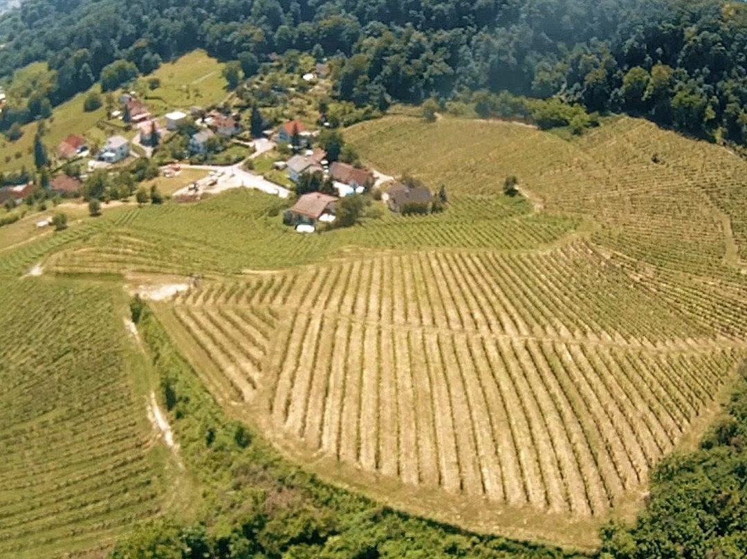 Vinogradi Horvat-马里博尔必去景点