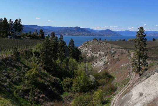 Pedego Electric Bikes Penticton-彭蒂克顿必去景点